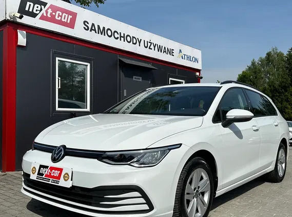 samochody osobowe Volkswagen Golf cena 79800 przebieg: 75550, rok produkcji 2021 z Małomice